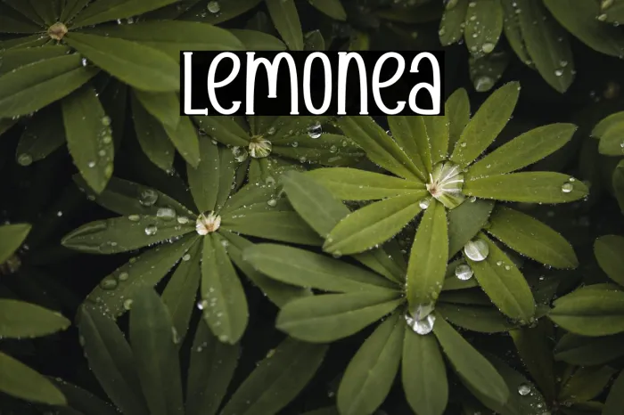 Lemontea Example 2