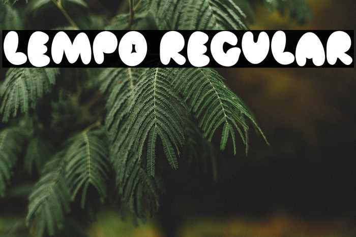 Lempo Regular Example 2