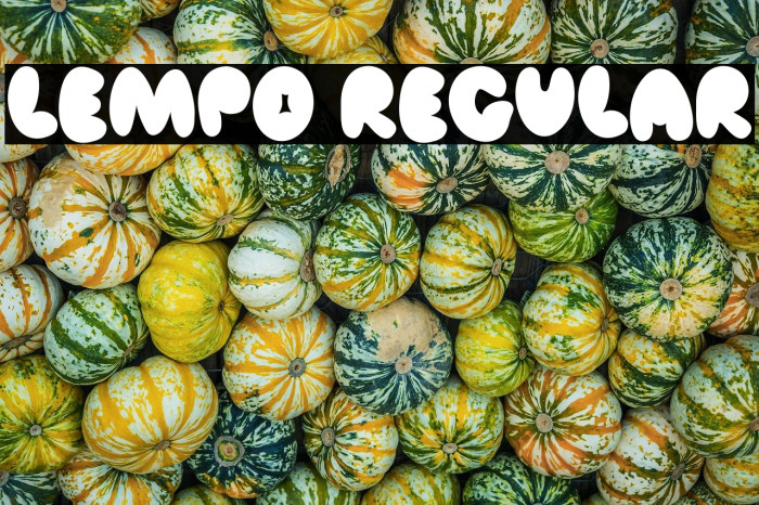 Lempo Regular Example 3