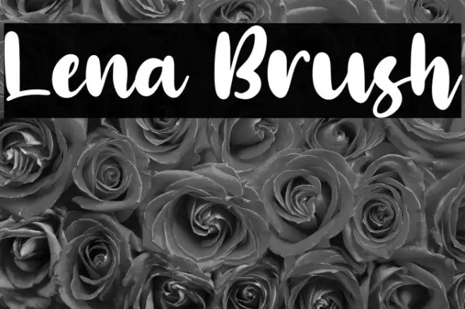 Lena Brush Example 1