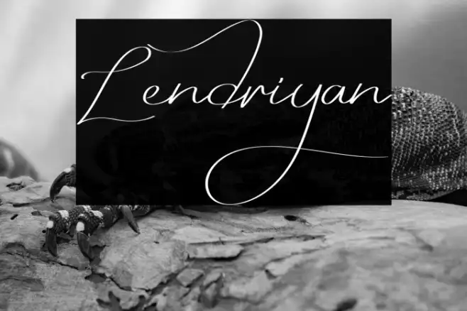 Lendriyan Example 1