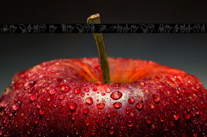 Lengua De Senas Chilena Regular Example 1