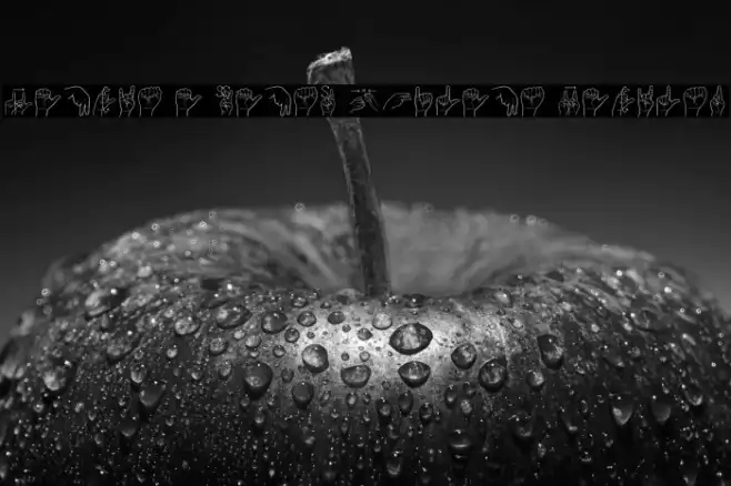 Lengua De Senas Chilena Regular Example 1