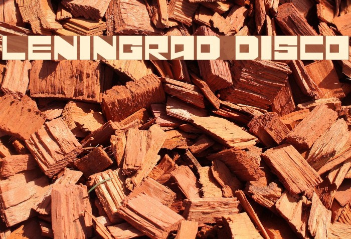 Leningrad Disco Font examples