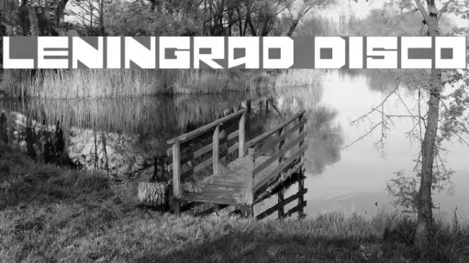 Leningrad Disco Example 3