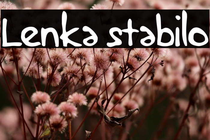 Lenka stabilo Example 3
