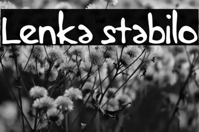 Lenka stabilo خط examples
