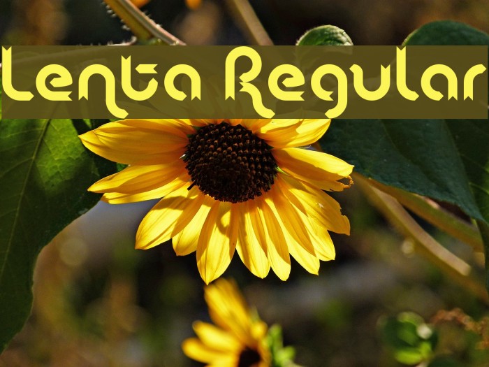 Lenta Regular Font examples