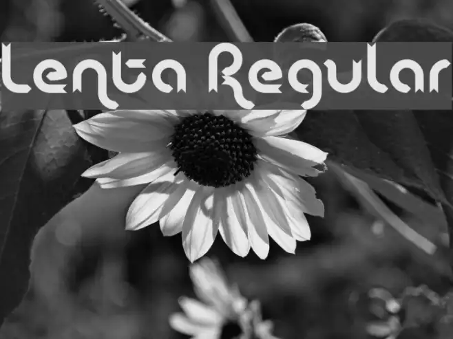 Lenta Regular Example 2