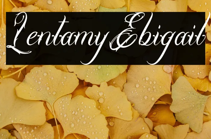 Lentamy Ebigail Example 2