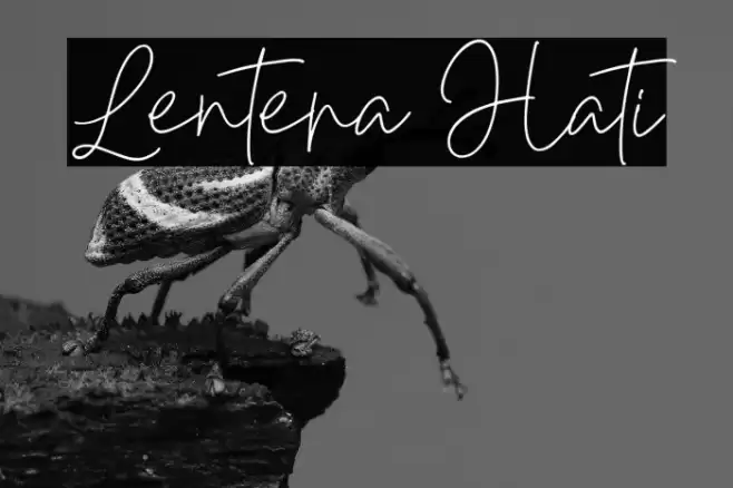 Lentera Hati Font examples