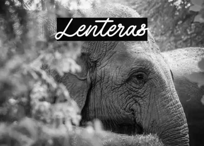 Lenteras Caratteri examples