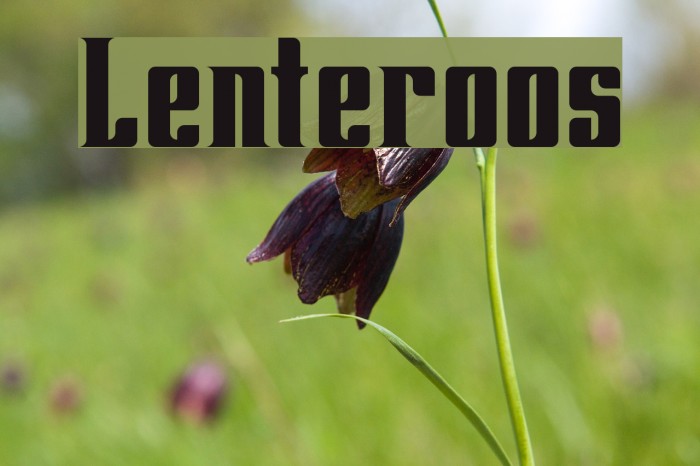Lenteroos Font examples