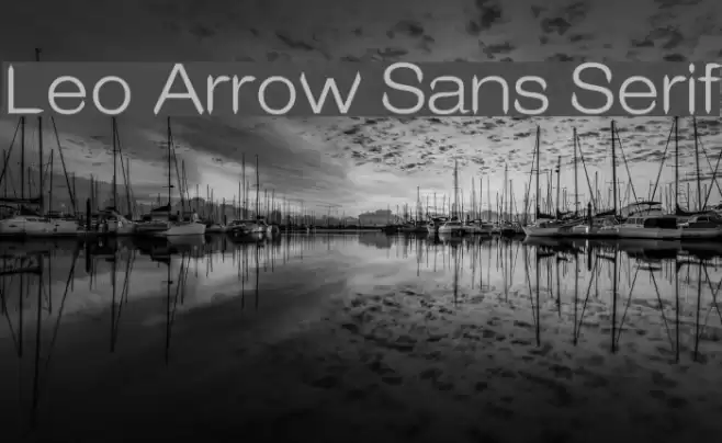 Leo Arrow Sans Serif Font examples