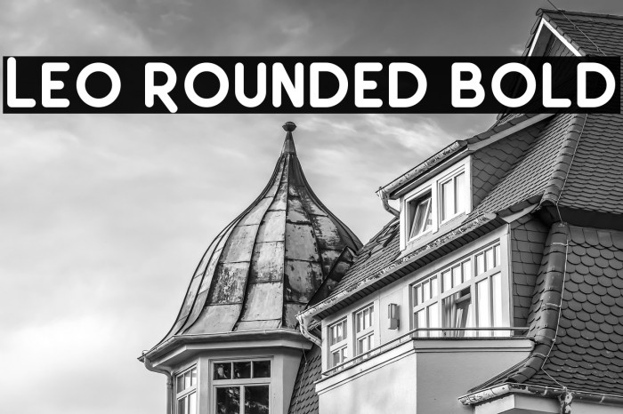 Leo Rounded Bold Example 1