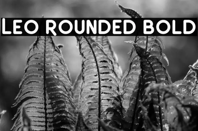 Leo Rounded Bold Example 2