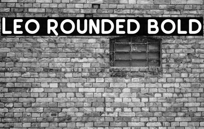 Leo Rounded Bold Example 3
