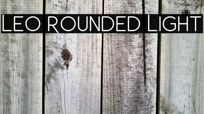 Leo Rounded Light Example 2