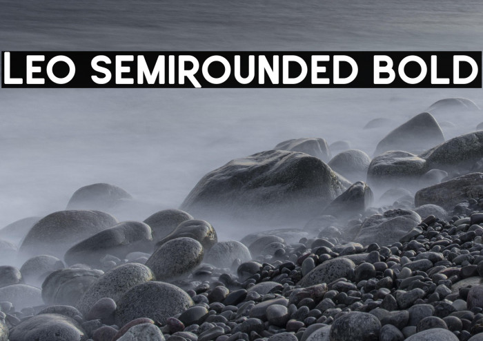 Leo SemiRounded Bold Example 1
