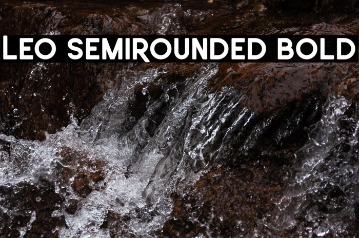 Leo SemiRounded Bold Example 2