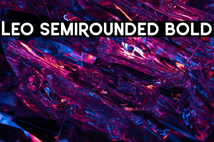 Leo SemiRounded Bold Example 3