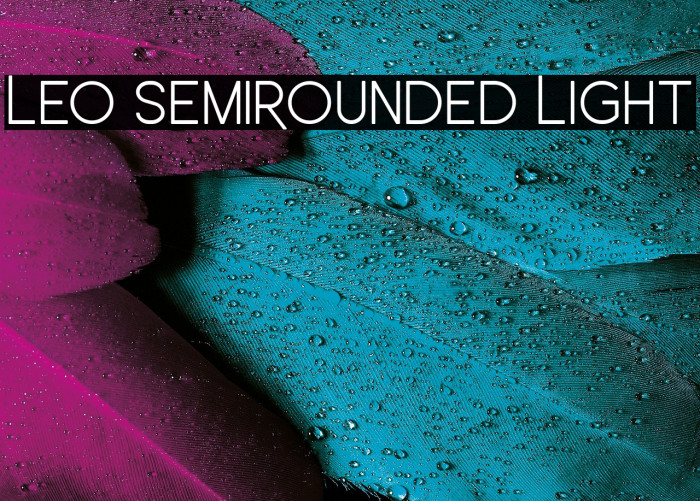 Leo SemiRounded Light Example 1