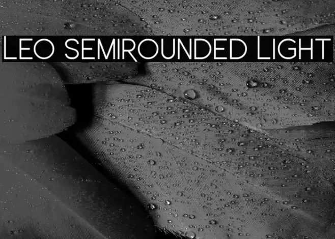 Leo SemiRounded Light Example 1