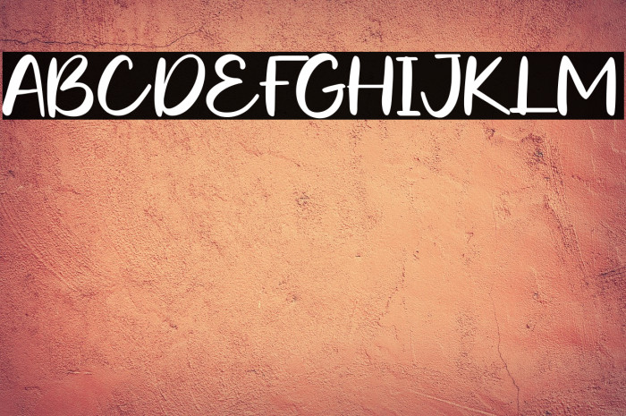 Leoch Nisa Example 2