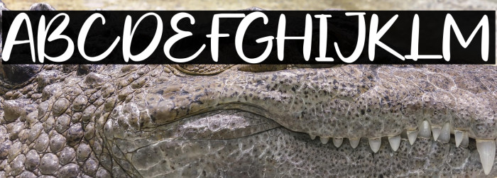 Leoch Nisa Example 3