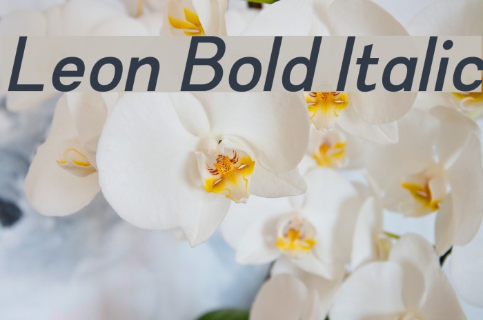 Leon Bold Italic Font examples