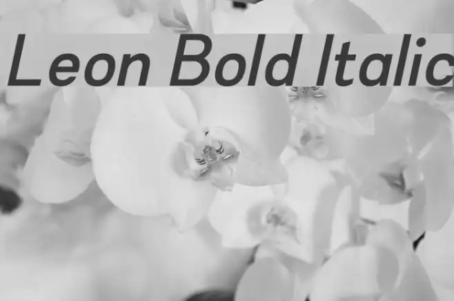 Leon Bold Italic Example 3