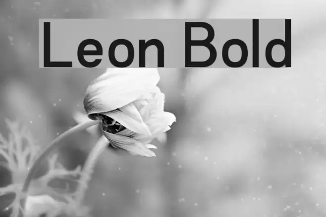 Leon Bold Font examples