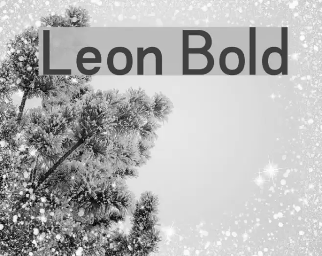 Leon Bold Font examples