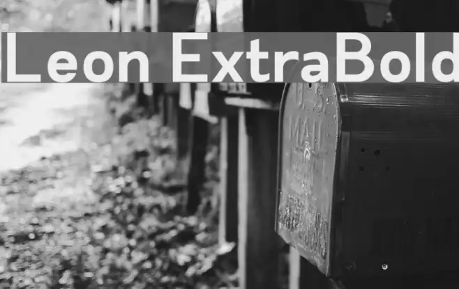 Leon ExtraBold Example 1