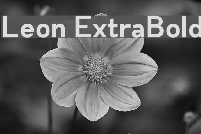 Leon ExtraBold Example 2