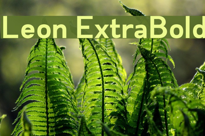 Leon ExtraBold Font examples