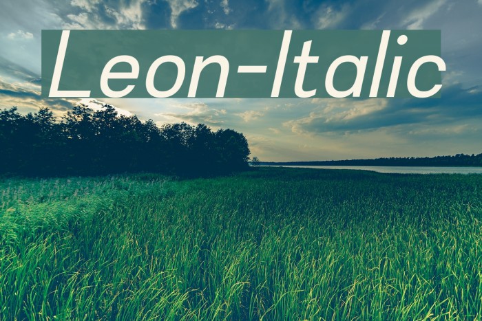 Leon-Italic Font examples
