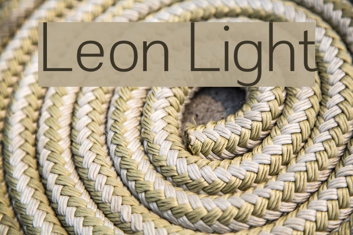 Leon Light Font examples