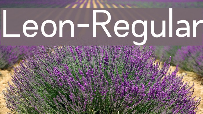 Leon-Regular Font examples