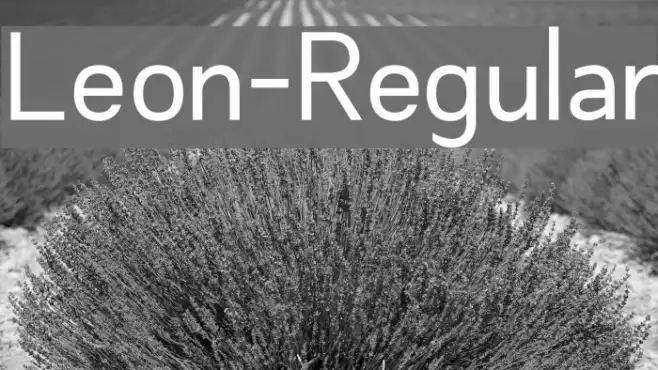 Leon-Regular Example 1
