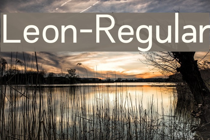 Leon-Regular Font examples