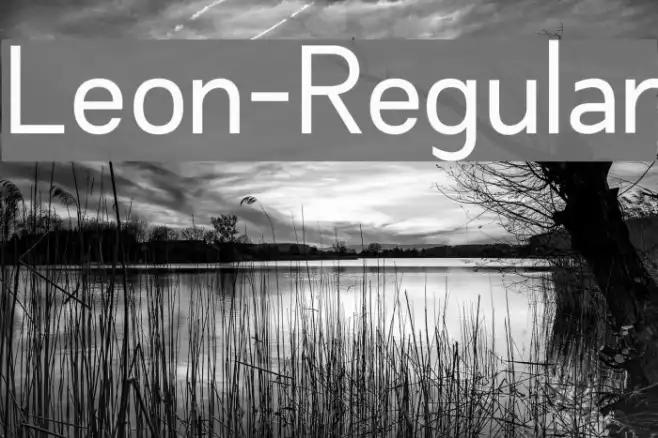 Leon-Regular Example 2