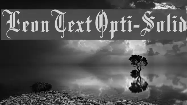 LeonTextOpti-Solid Font examples