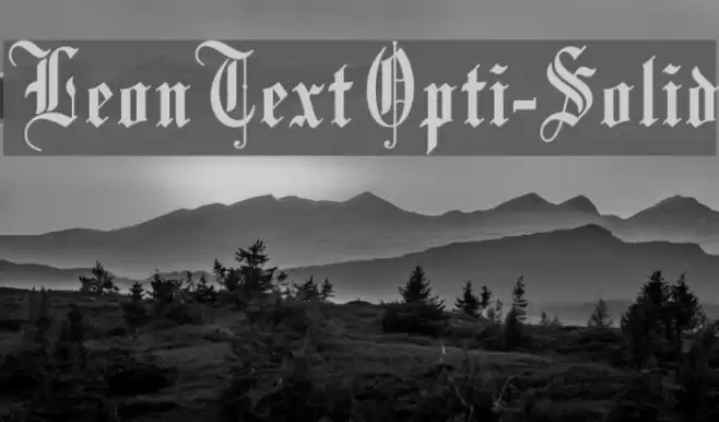 LeonTextOpti-Solid Font examples