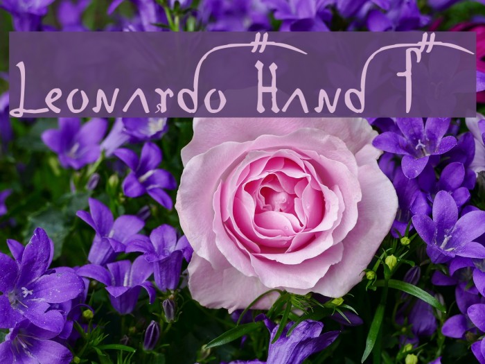Leonardo Hand F Font examples