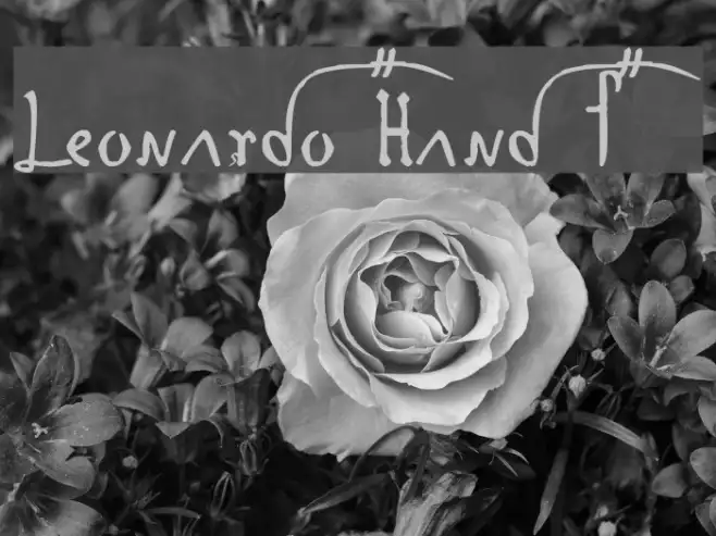 Leonardo Hand F Example 1