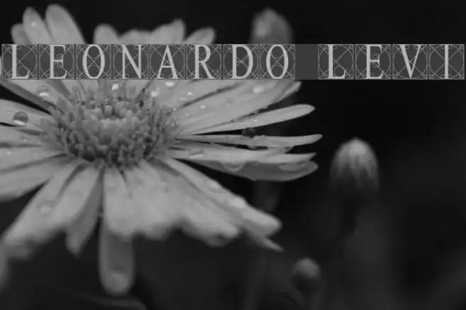 Leonardo [Levi] Example 1