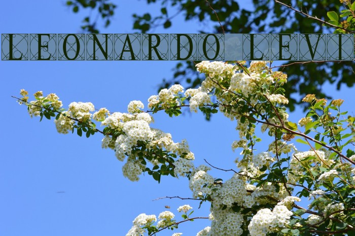 Leonardo [Levi] Example 2