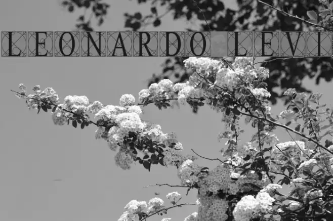 Leonardo [Levi] Example 2