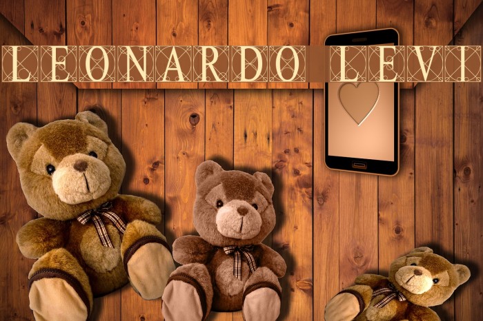 Leonardo [Levi] Example 3